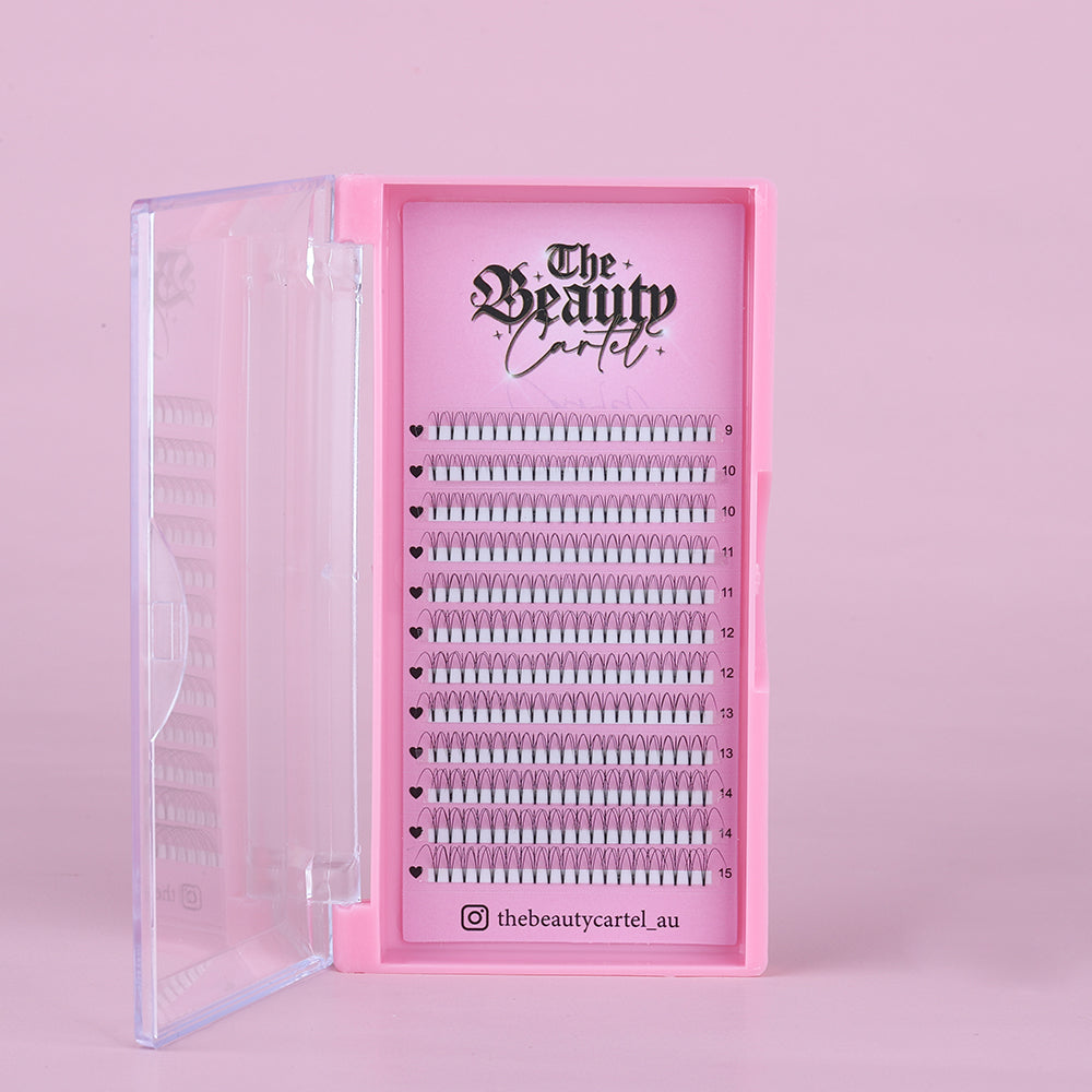 3D D Curl Premade Lash Trays by The Beauty Cartel AU