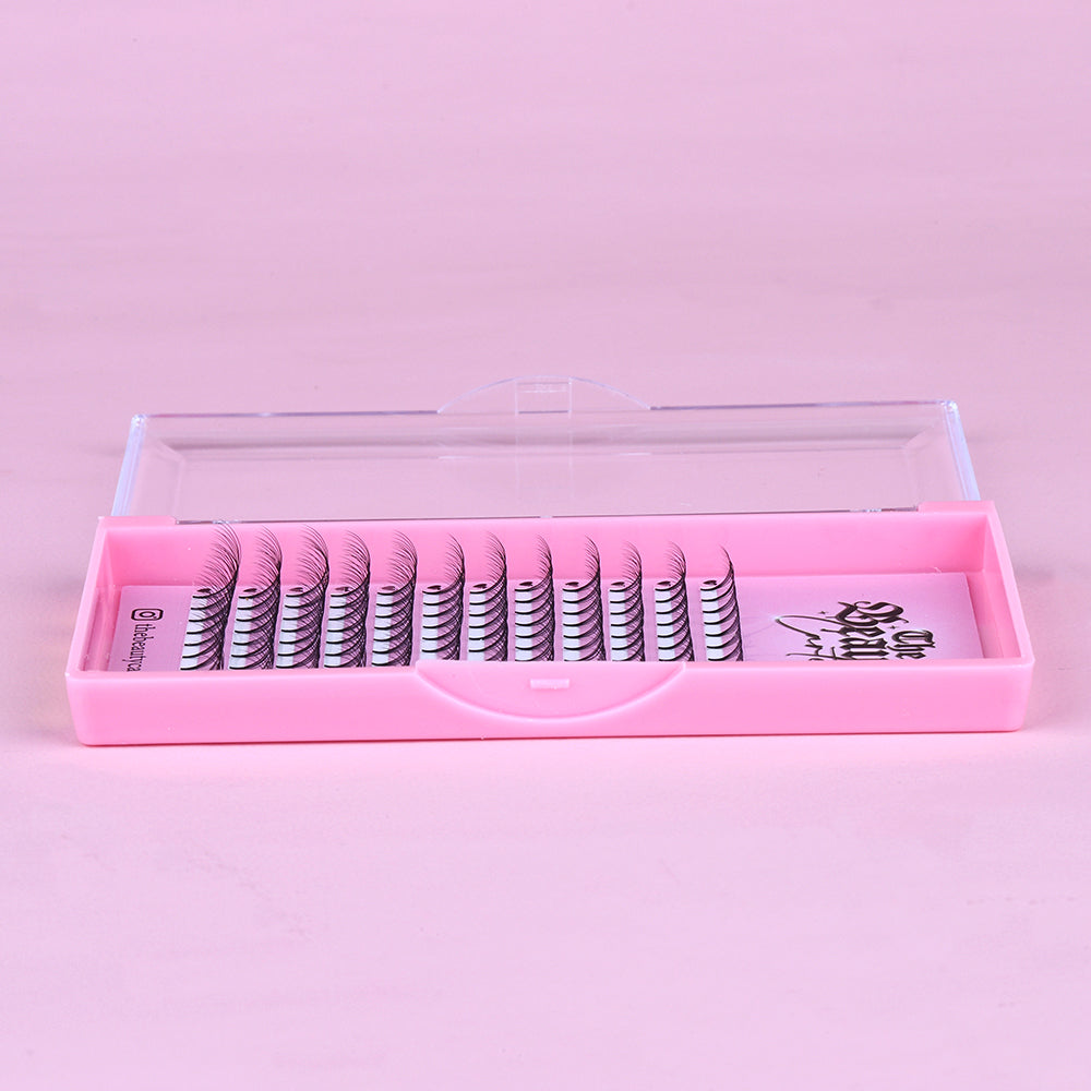 6D D Curl Premade Lash Trays