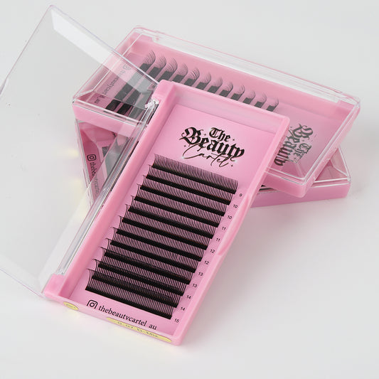 Wet Set D Curl Premade Lash Trays