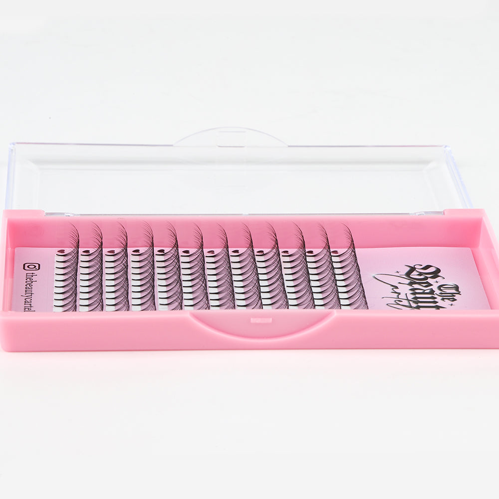 8D D Curl Premade Lash Trays