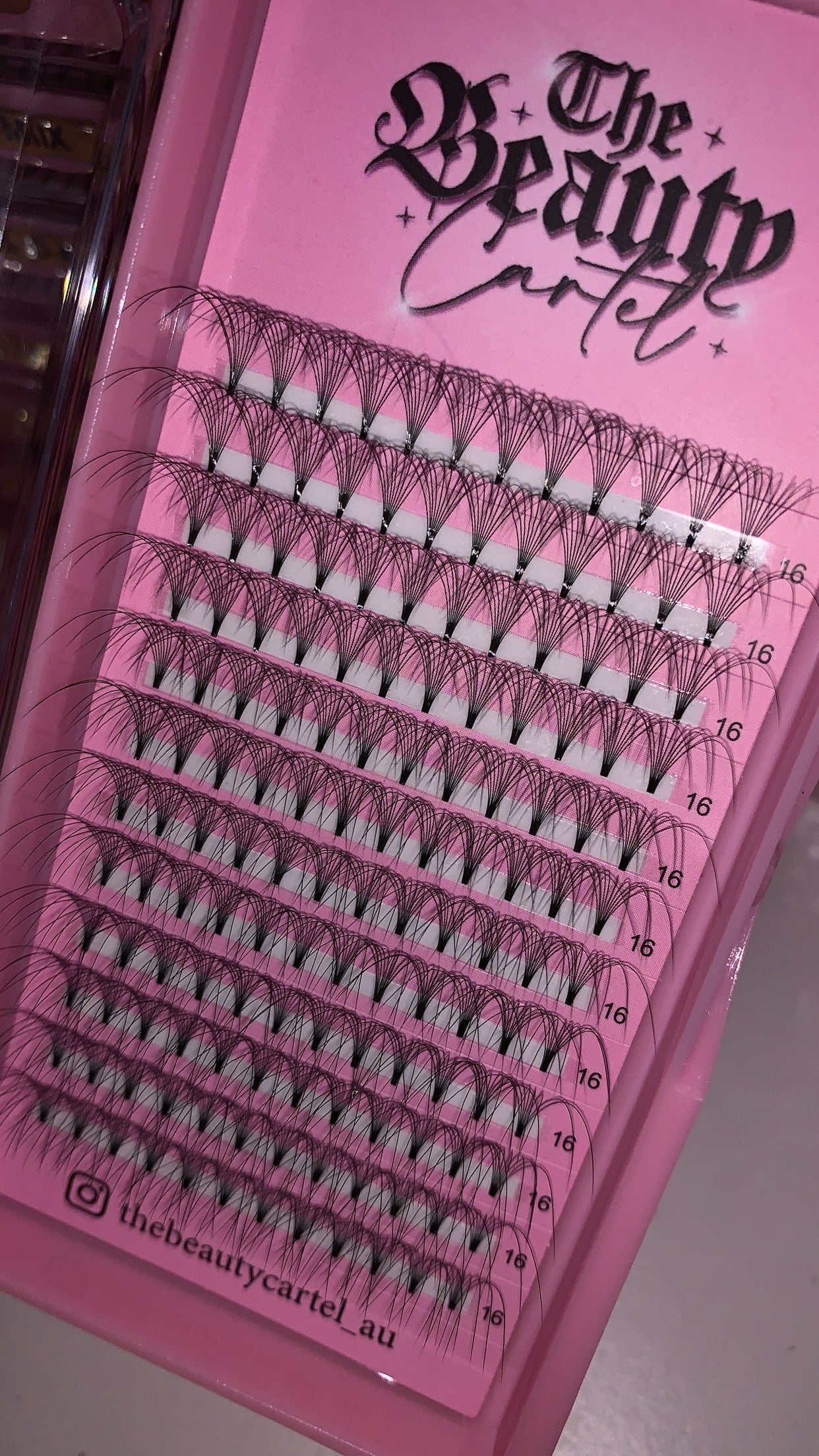 9D D Curl Premade Lash Trays